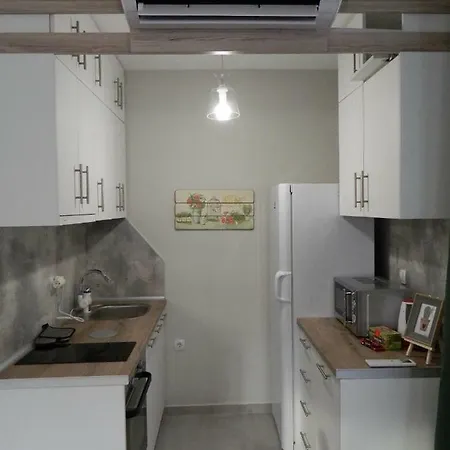 Apartment Avlina Center